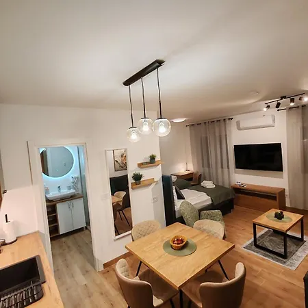Apartment Surcin Central Stay