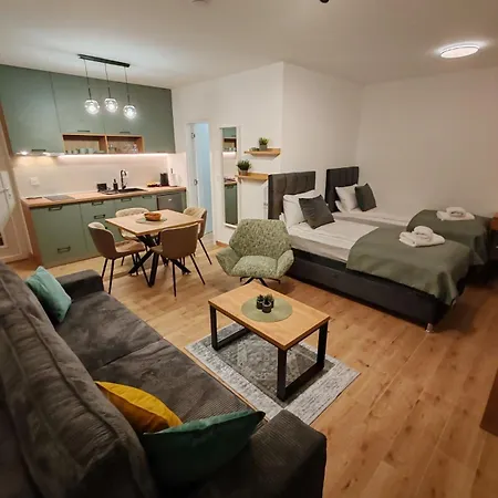 아파트 Surcin Central Stay *