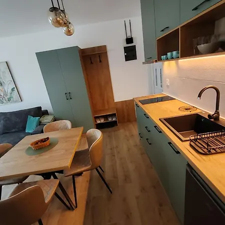 Apartment Surcin Central Stay