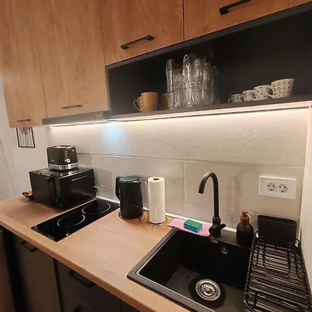 아파트 Surcin Central Stay